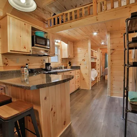 Ani Cabin Tiny Home Bordered By National Forest Chattanooga Exterior photo