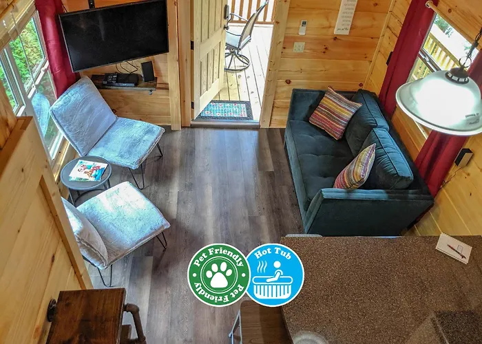 Ani Cabin Tiny Home Bordered By National Forest