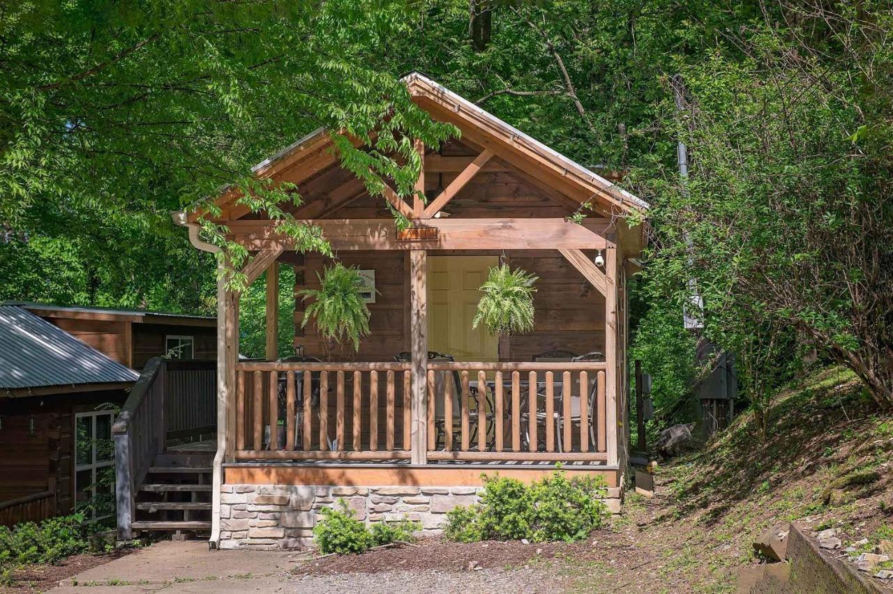 Ani Tiny Bordered By National Forest * Chattanooga