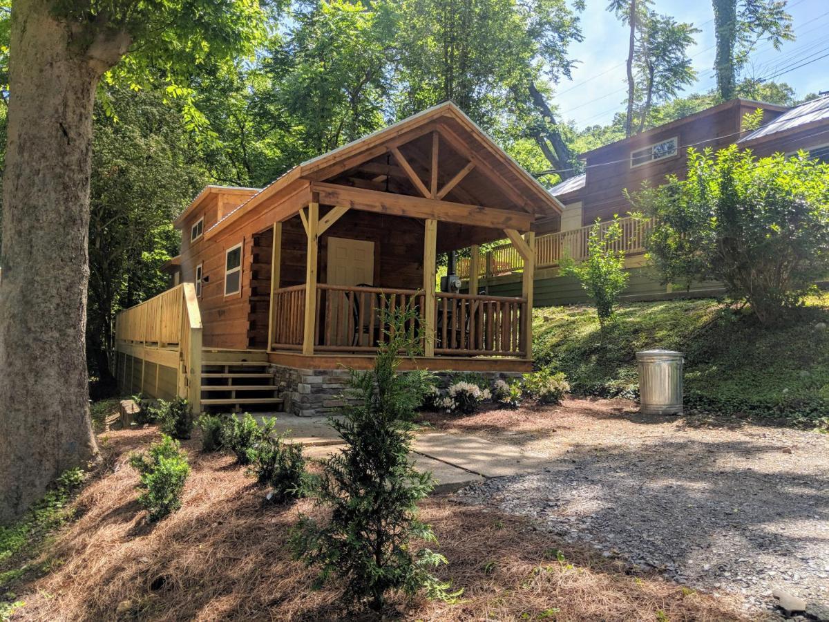 Ani Tiny Bordered By National Forest * Chattanooga