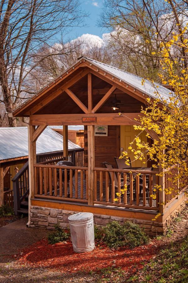 Ani Tiny Bordered By National Forest Holiday home Chattanooga